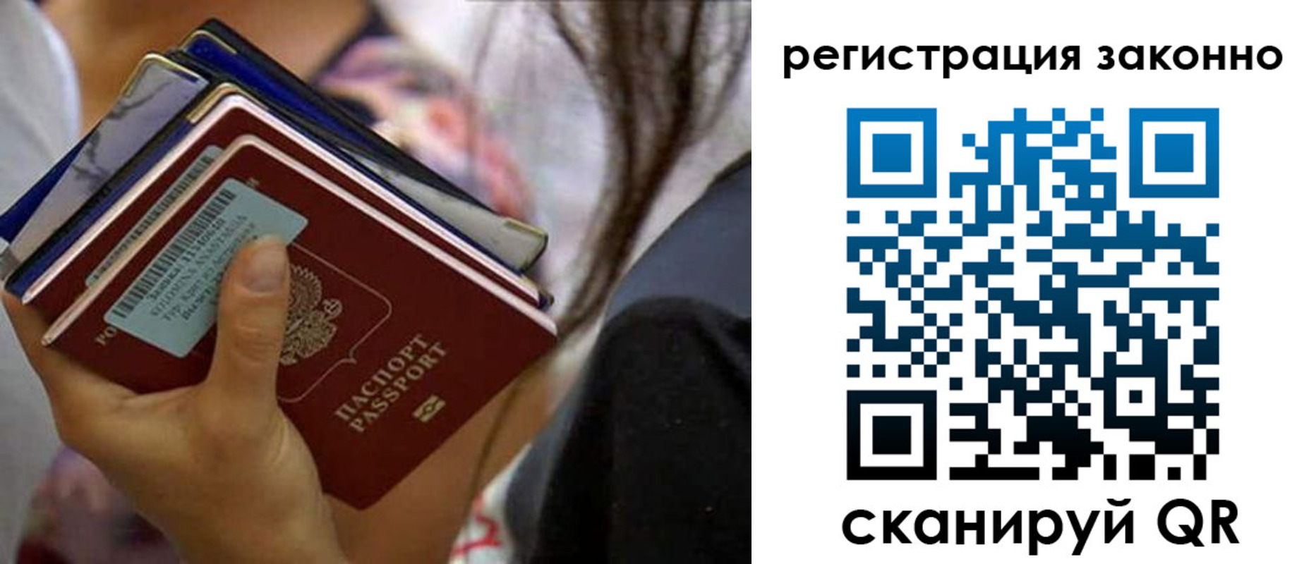 прописка в Светлограде